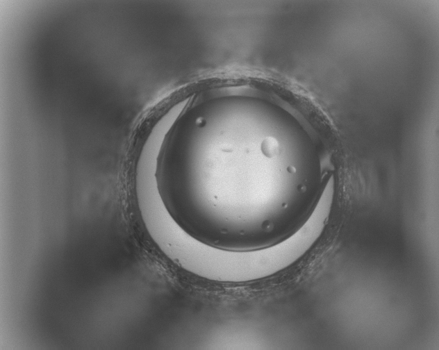X0000048231304200504061200.png