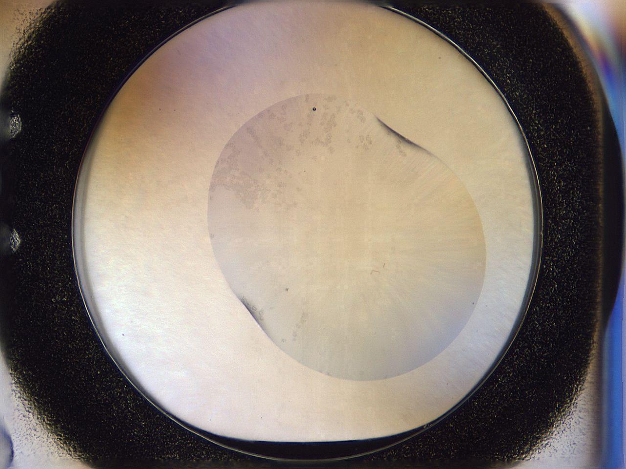 056n_E2_ImagerDefaults_6.jpg