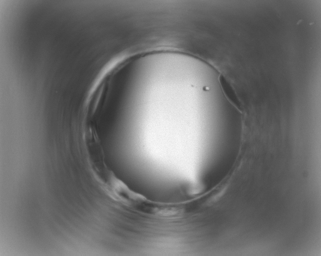 X0000054330056200508111930.png