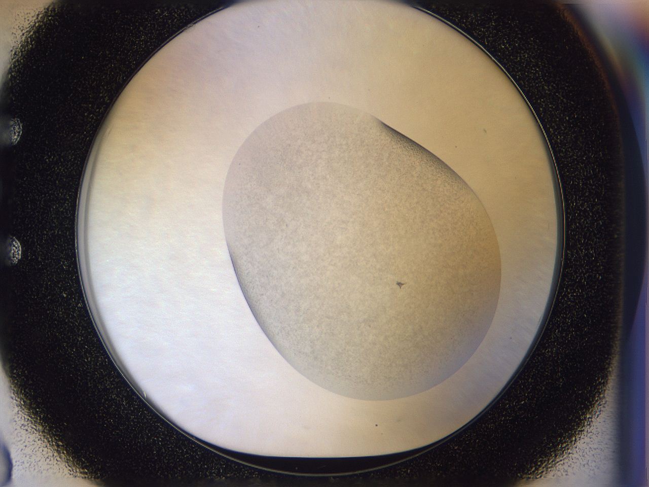 056n_E3_ImagerDefaults_2.jpg