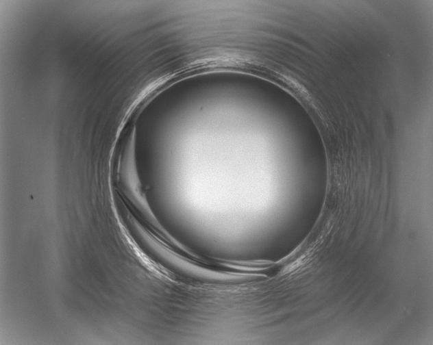 X0000055061034200508161640.png