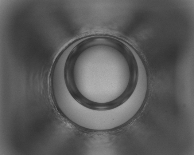 X0000051541198200506281730.png