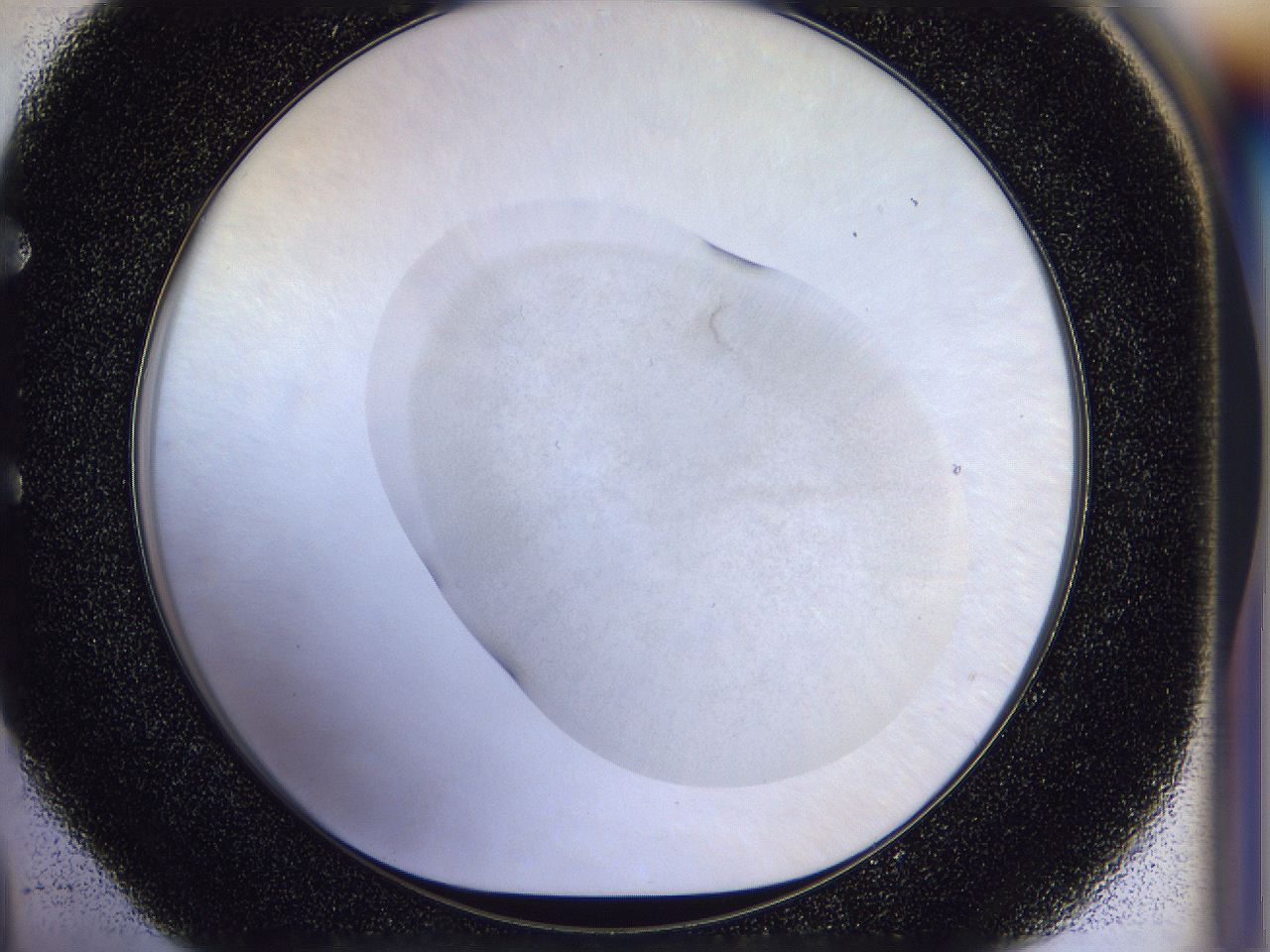 056n_E4_ImagerDefaults_2.jpg