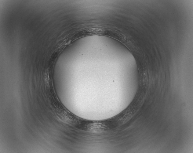 X0000055210320200508301328.png