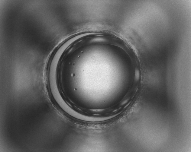 X0000045450843200502011654.png