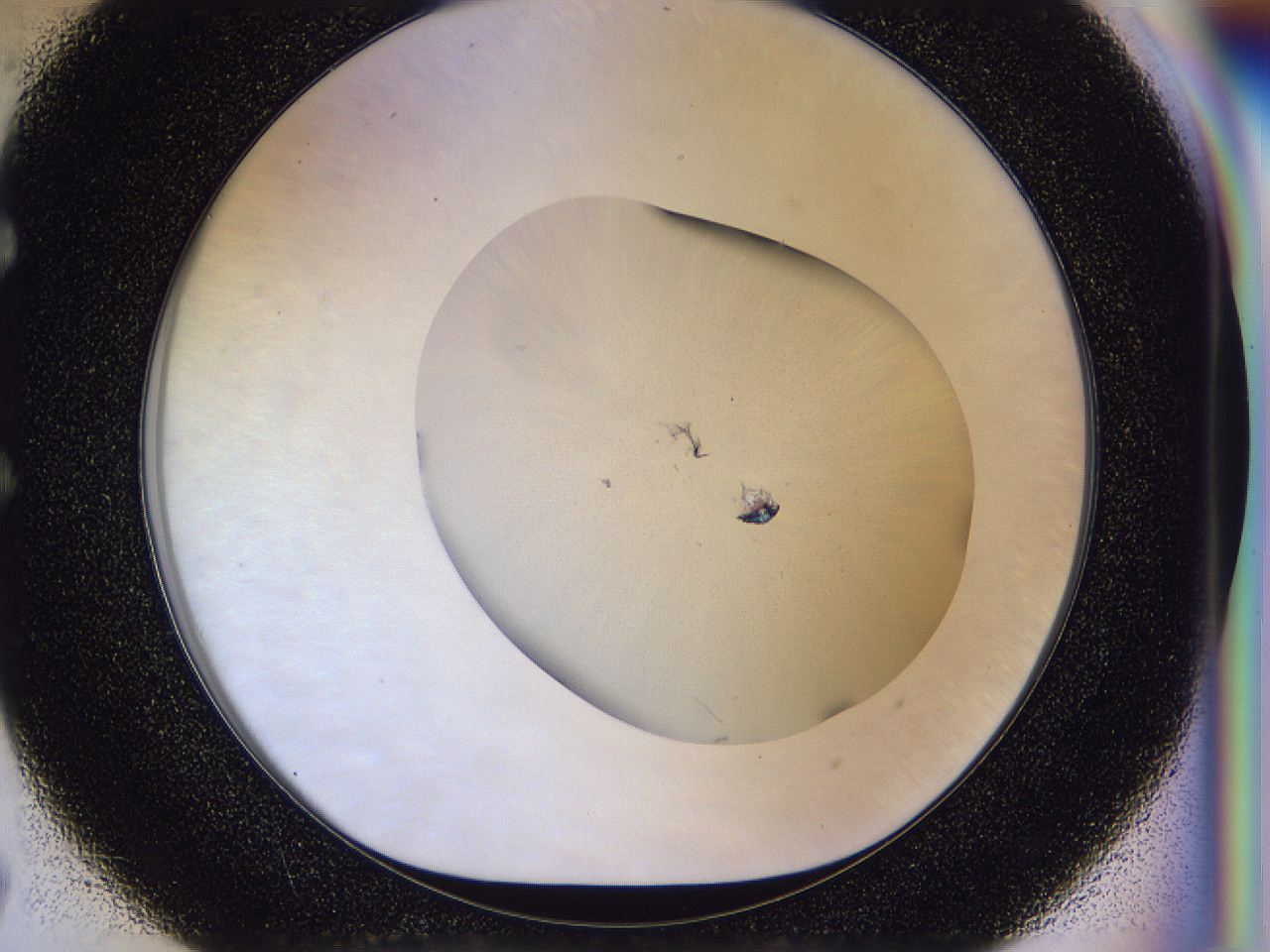 056n_E7_ImagerDefaults_1.jpg
