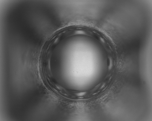 X0000052021040200507181621.png