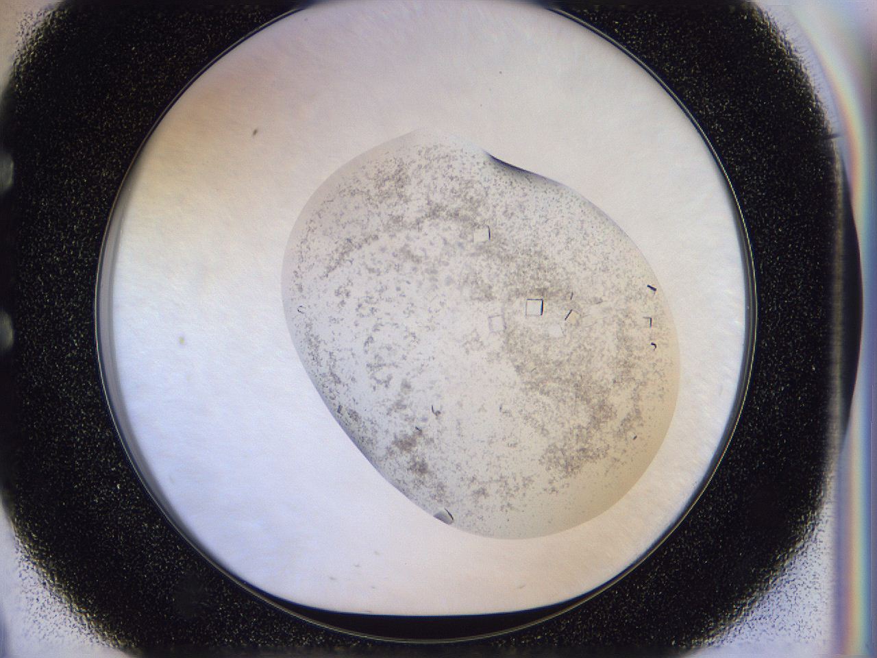 056n_E9_ImagerDefaults_9.jpg
