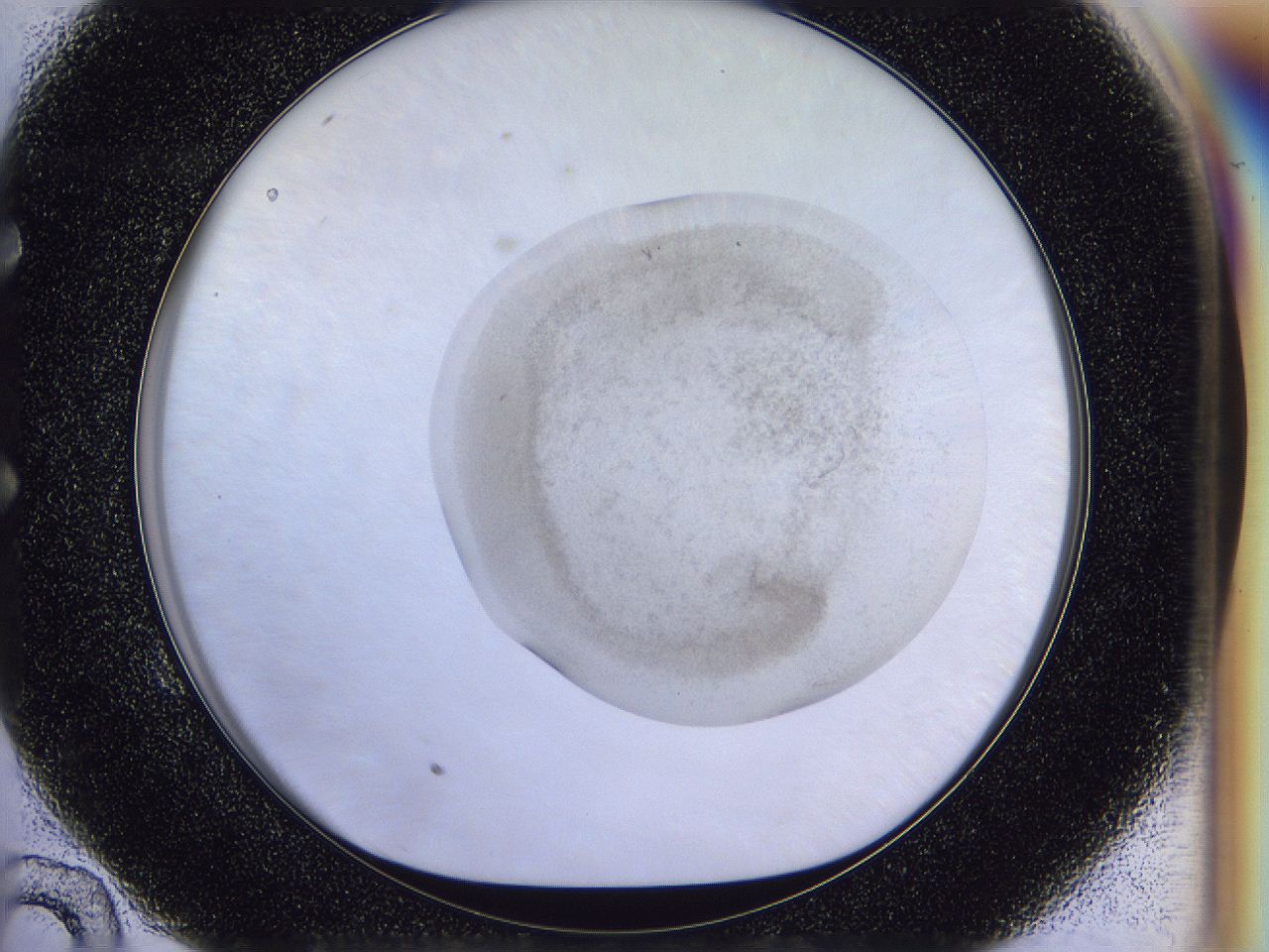 056n_E10_ImagerDefaults_2.jpg