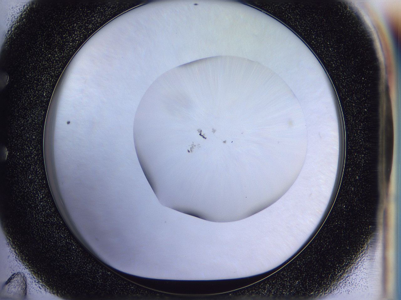 056n_E11_ImagerDefaults_1.jpg