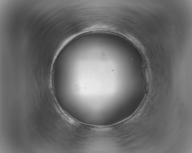 X0000055061296200508161636.png