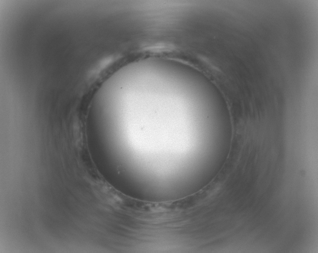 X0000054331398200508111907.png