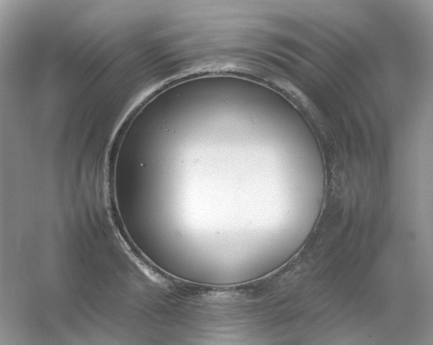 X0000054330894200508111916.png