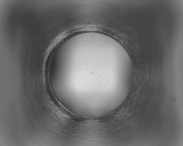 X0000055210296200508301329.png