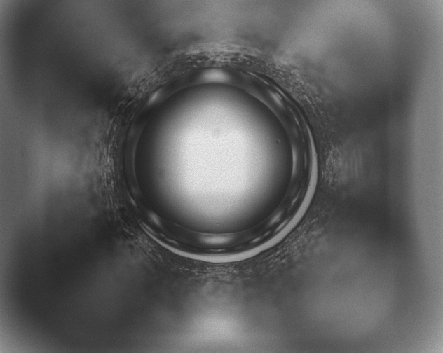 X0000045451062200502011651.png
