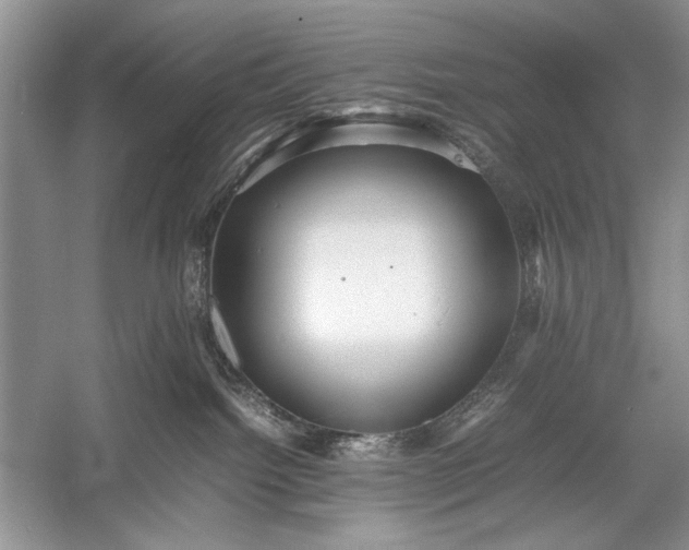 X0000055060092200508161657.png