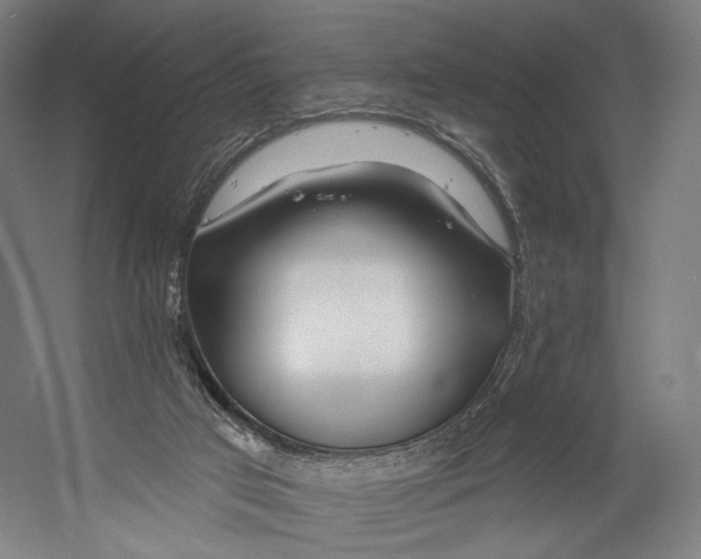 X0000055210017200508301333.png