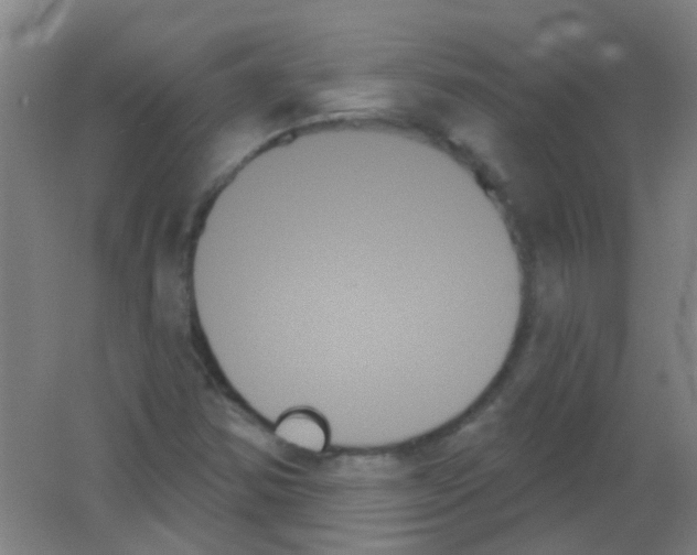 X0000053461354200508112146.png