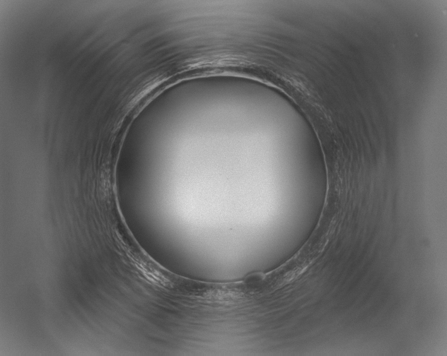 X0000055211073200508301316.png