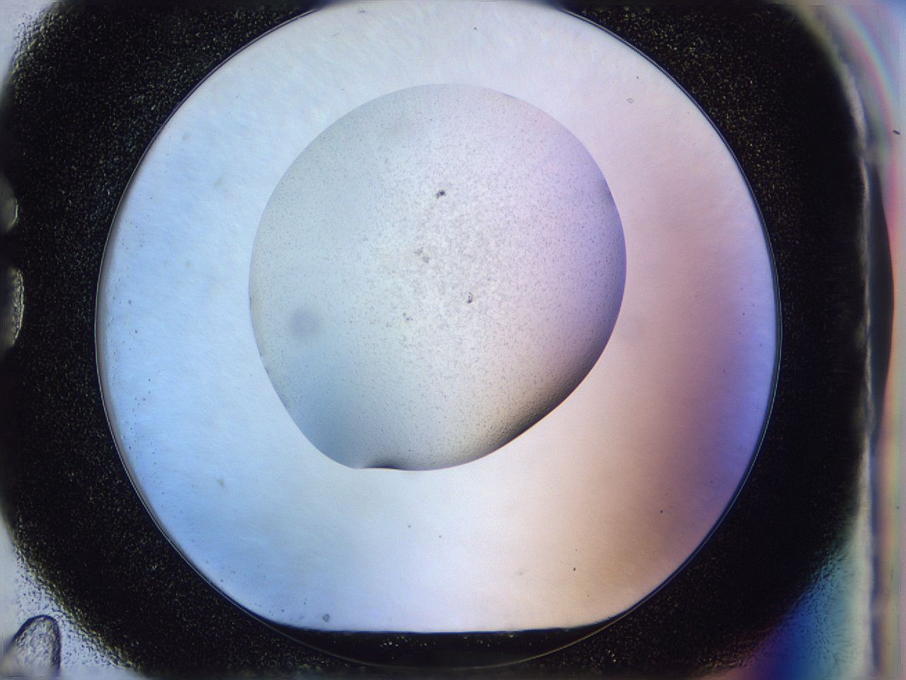 056n_G11_ImagerDefaults_2.jpg