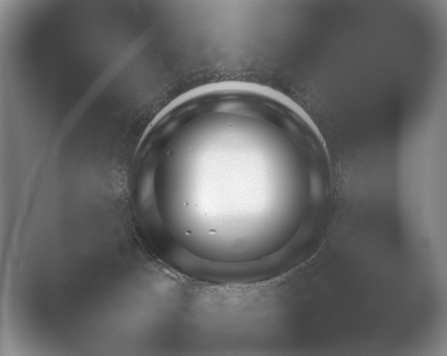 X0000052150033200507052003.png