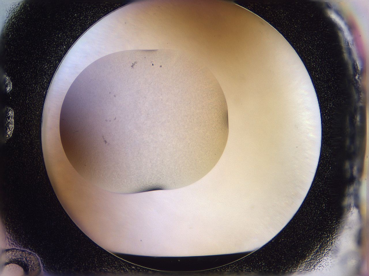 056n_G12_ImagerDefaults_2.jpg