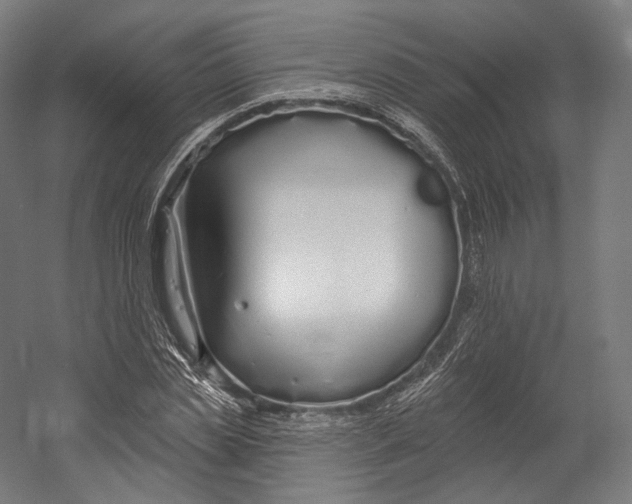X0000055210829200508301319.png