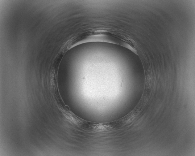 X0000055060379200508161652.png