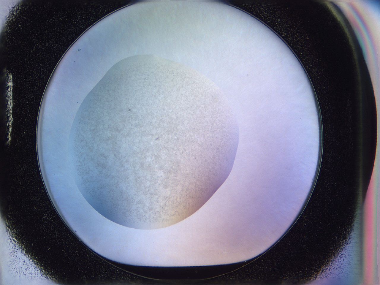 056n_H4_ImagerDefaults_2.jpg