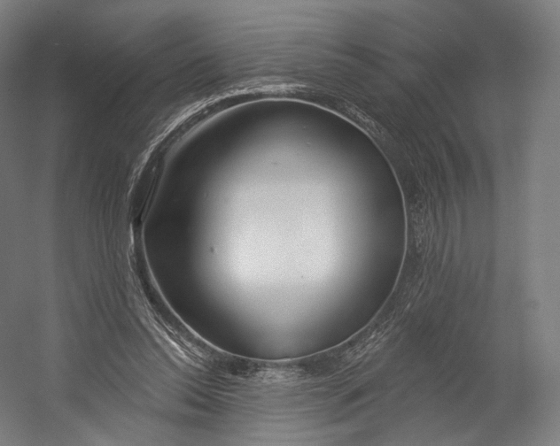 X0000055210350200508301328.png