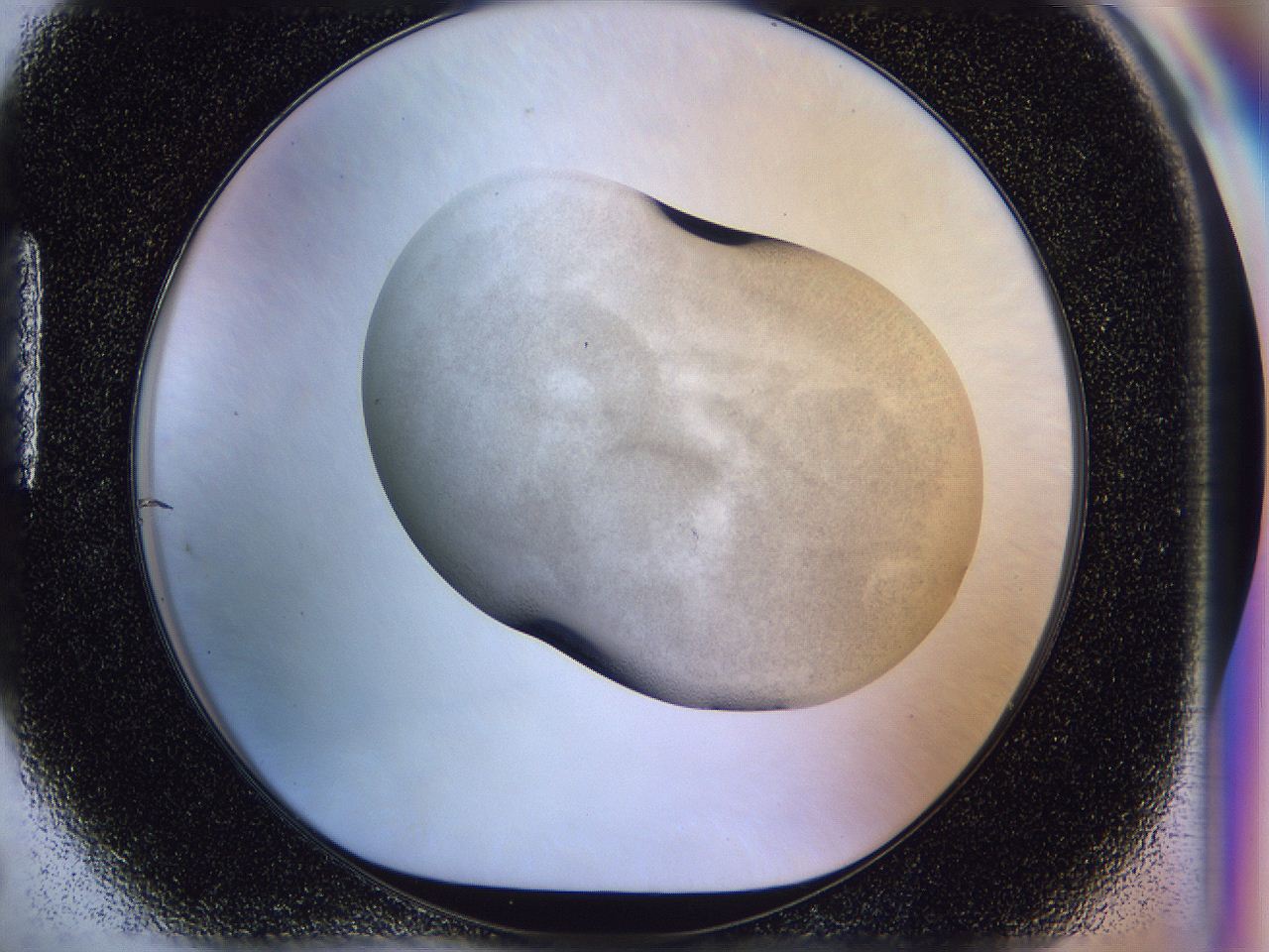 056n_H5_ImagerDefaults_2.jpg