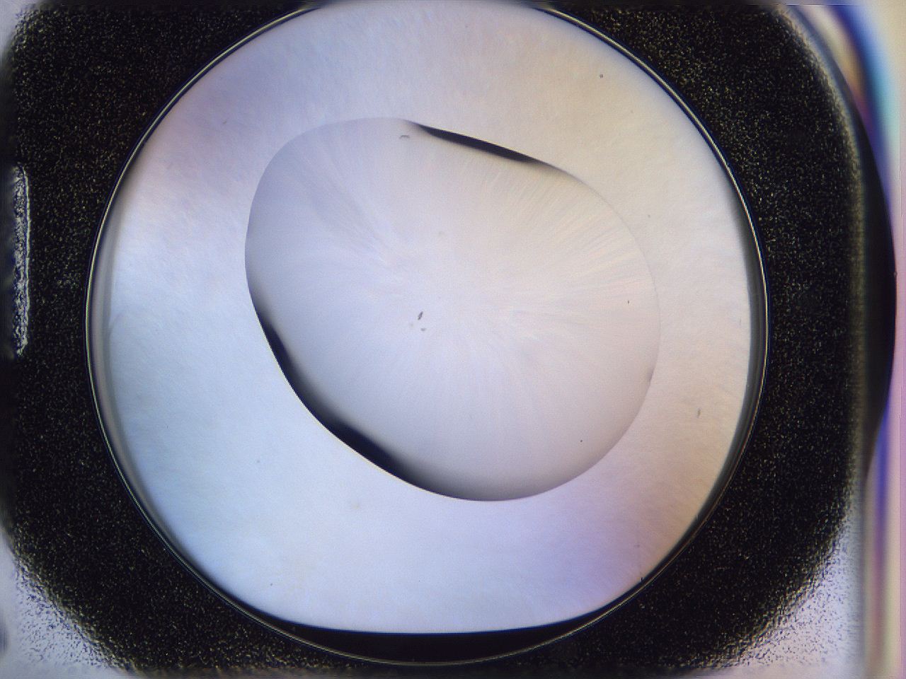 056n_H6_ImagerDefaults_0.jpg
