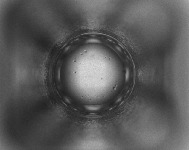 X0000045450735200502011656.png