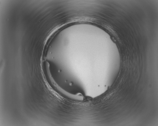 X0000055250936200509071611.png