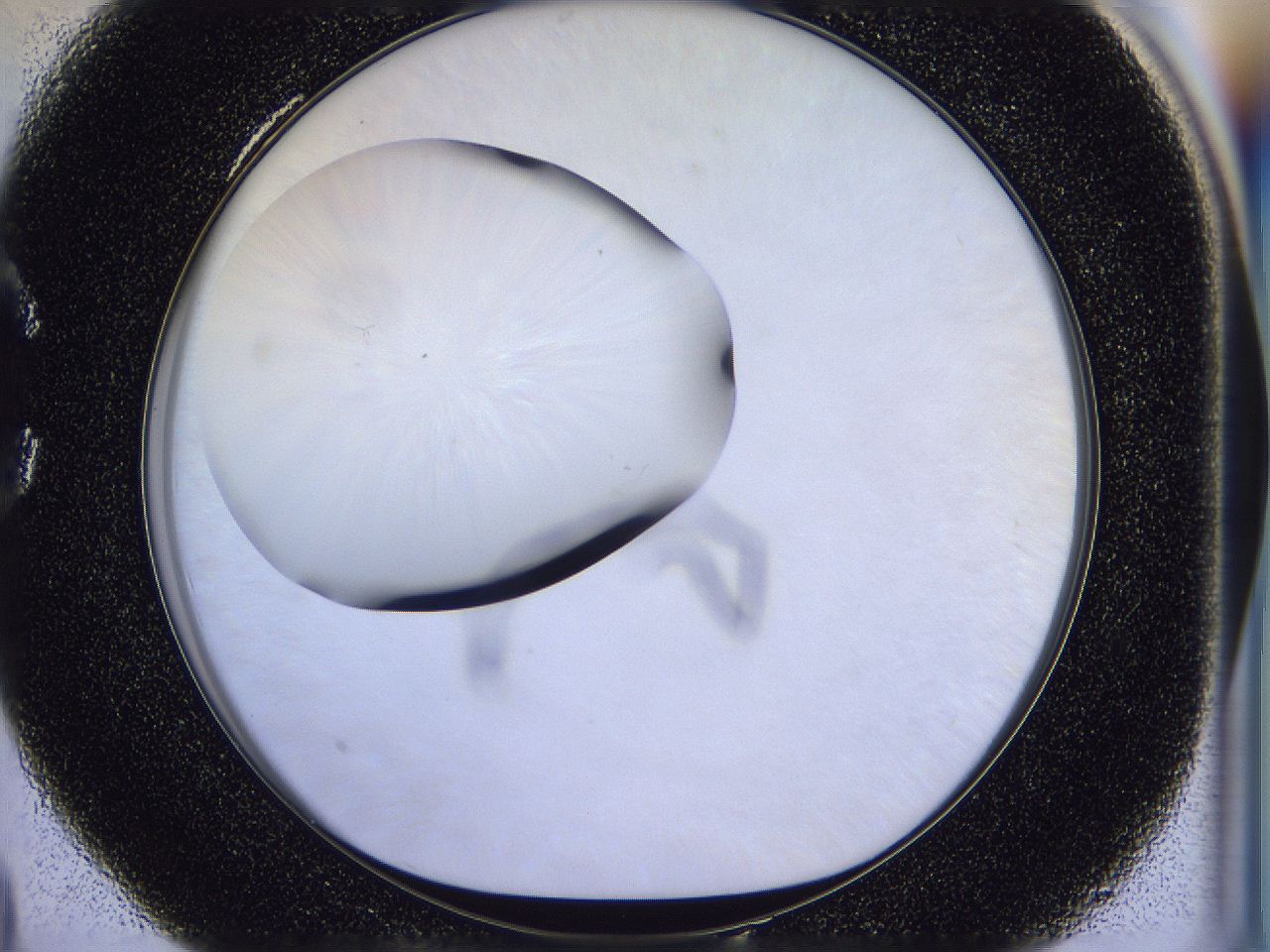 056n_C4_ImagerDefaults_0.jpg