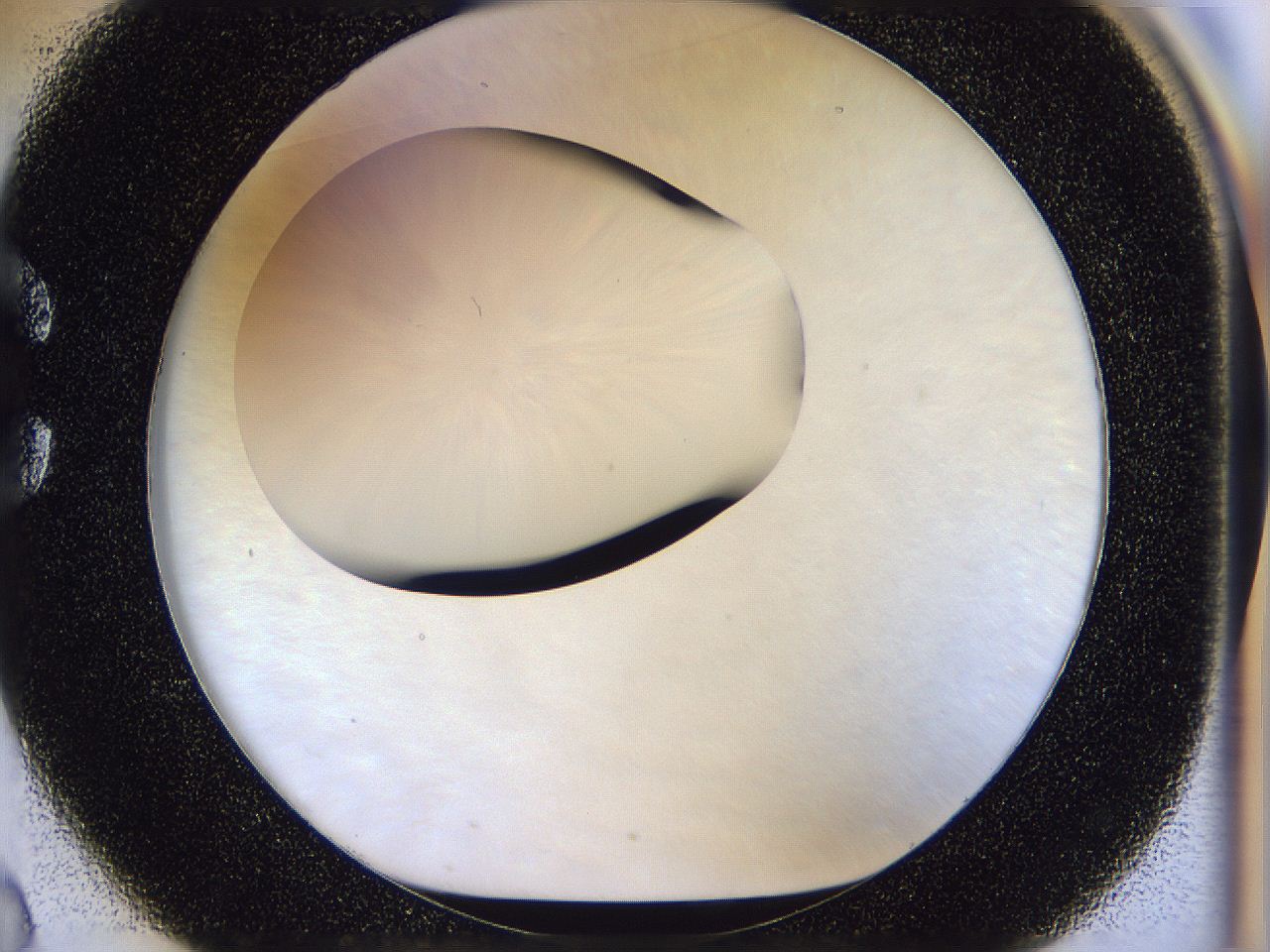 056n_C2_ImagerDefaults_0.jpg