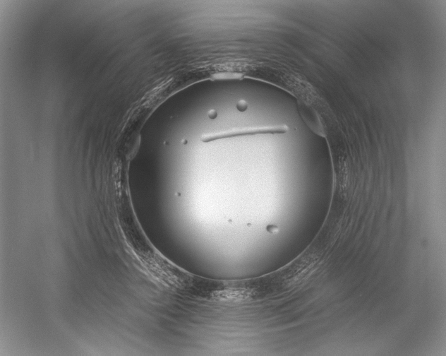 X0000055060356200508161651.png