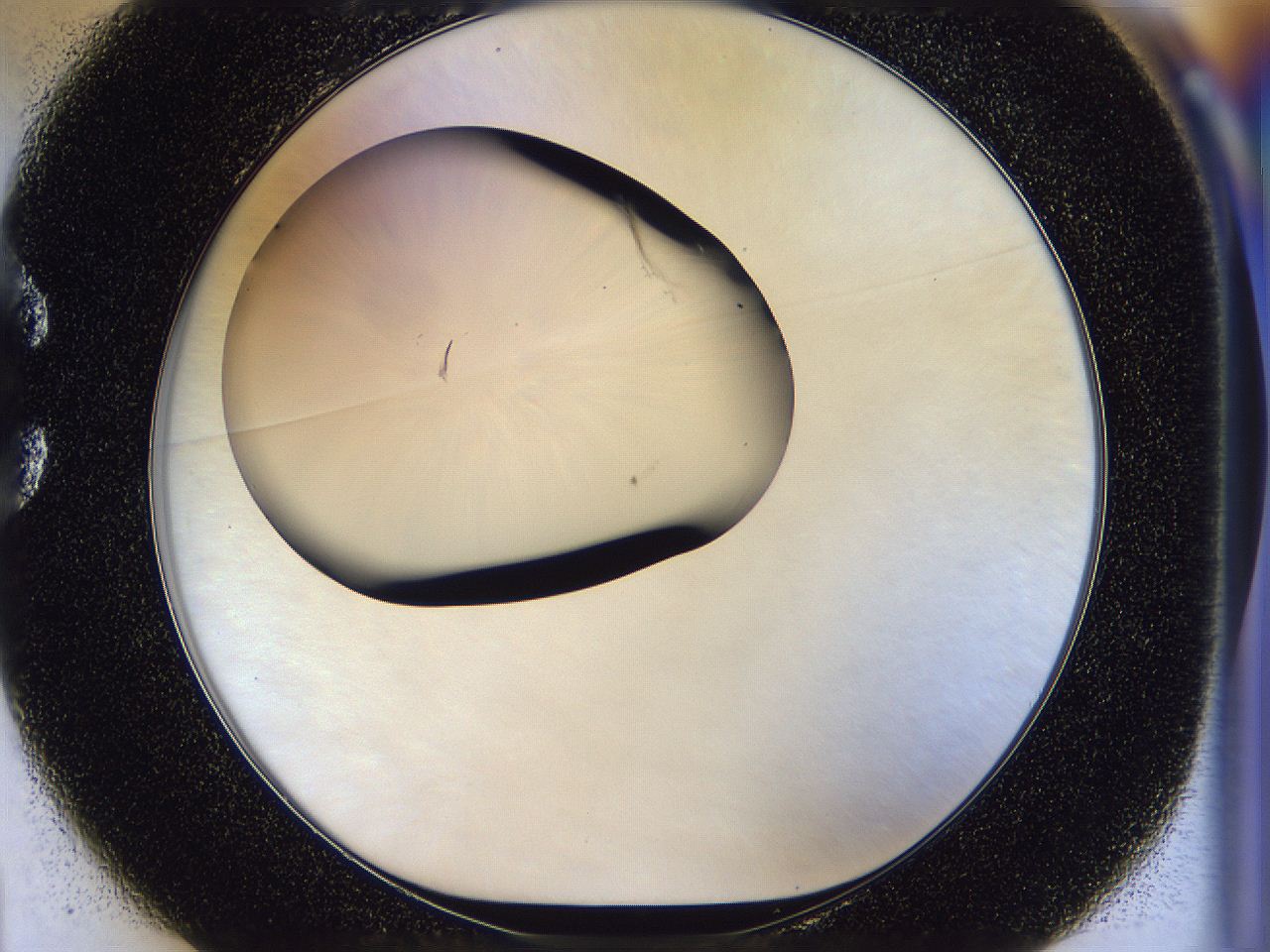 056n_C1_ImagerDefaults_2.jpg
