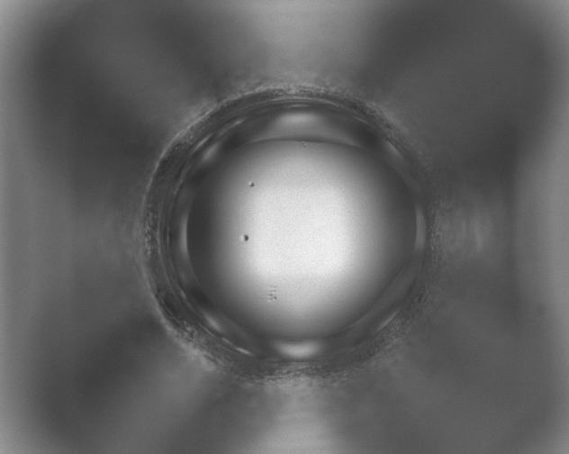 X0000052150730200507051951.png