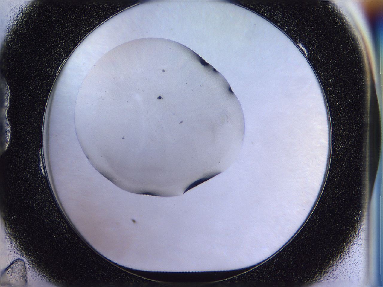 056n_B11_ImagerDefaults_2.jpg