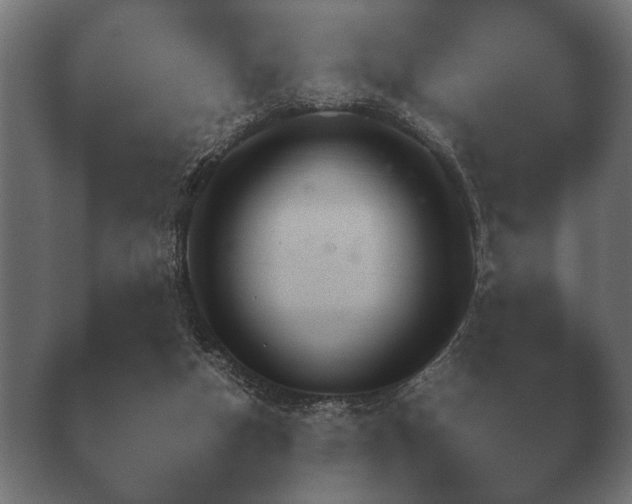 X0000040040162200410070855.png