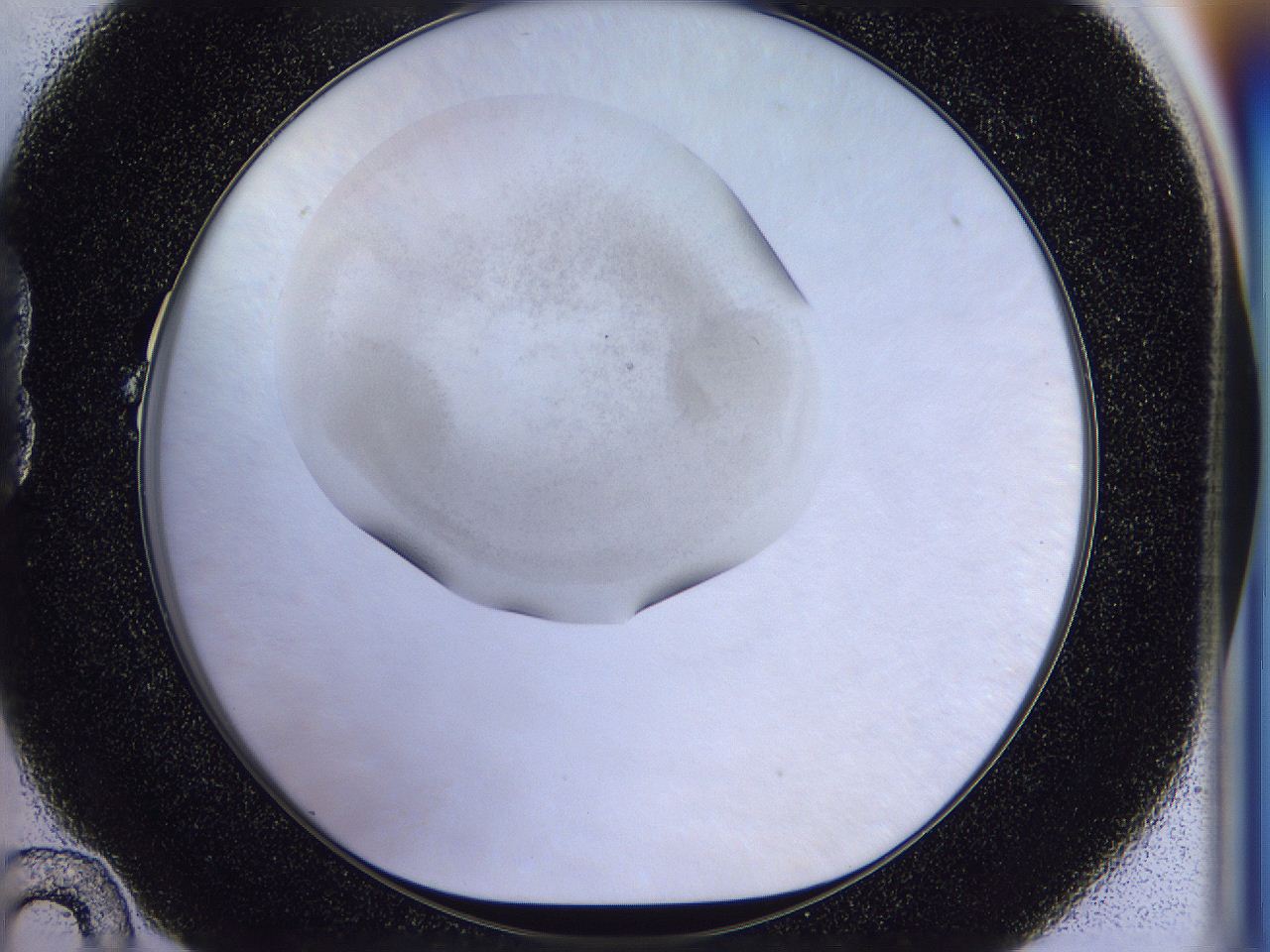 056n_B10_ImagerDefaults_2.jpg