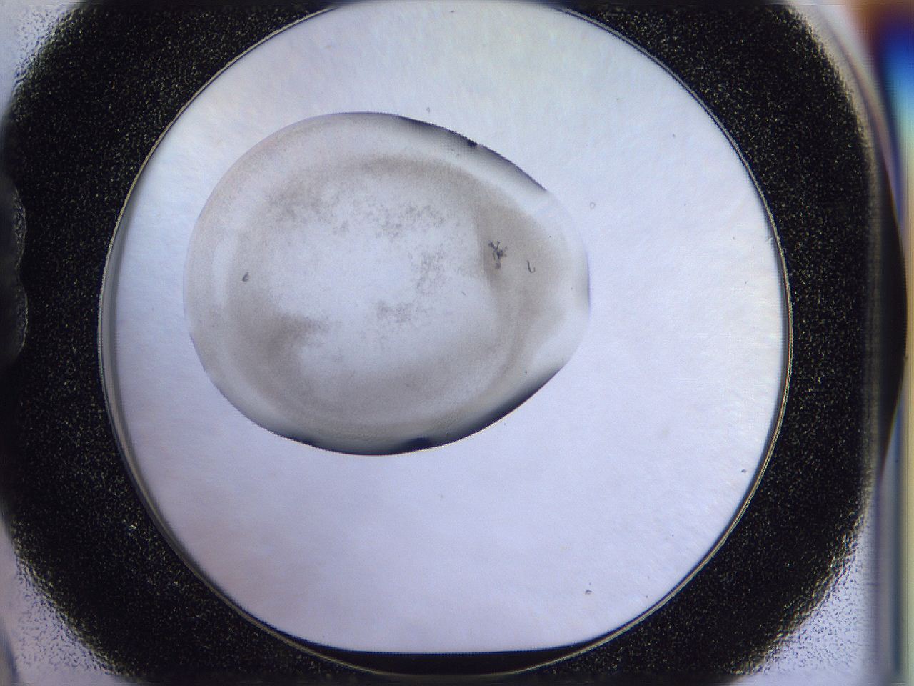 056n_B9_ImagerDefaults_6.jpg
