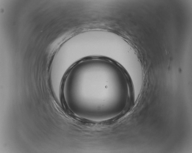 X0000054650293200508091649.png
