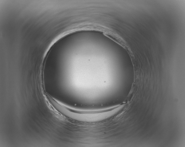 X0000055211530200508301308.png