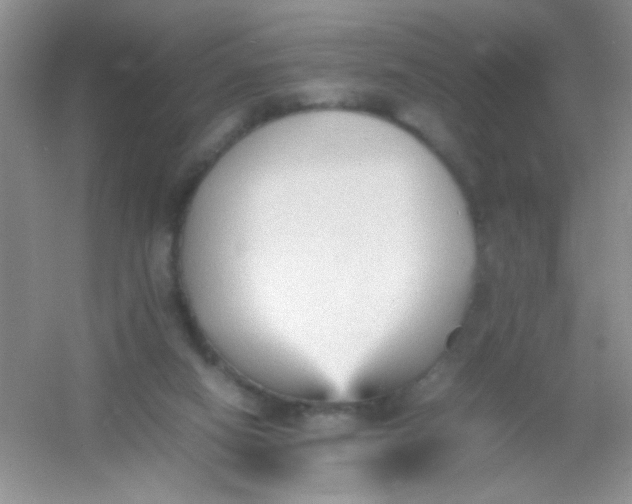 X0000054330066200508111930.png