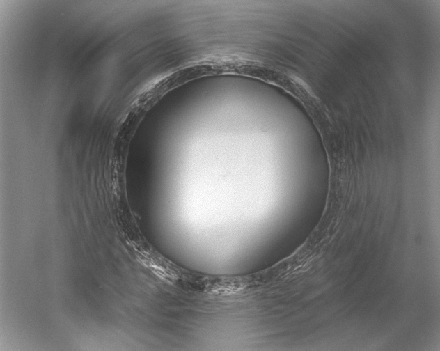 X0000055061016200508161640.png