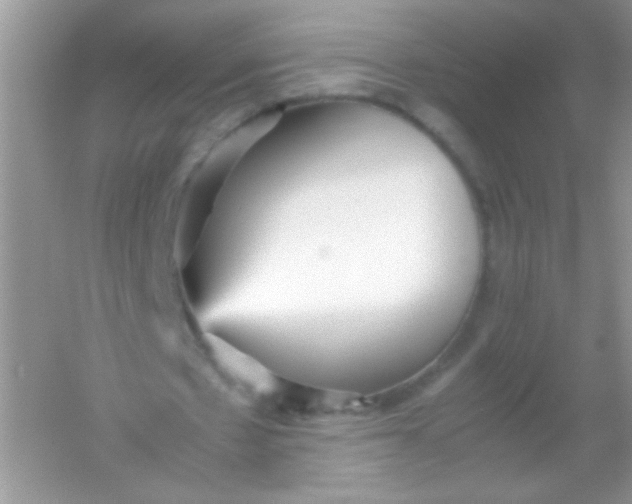 X0000054330481200508111923.png