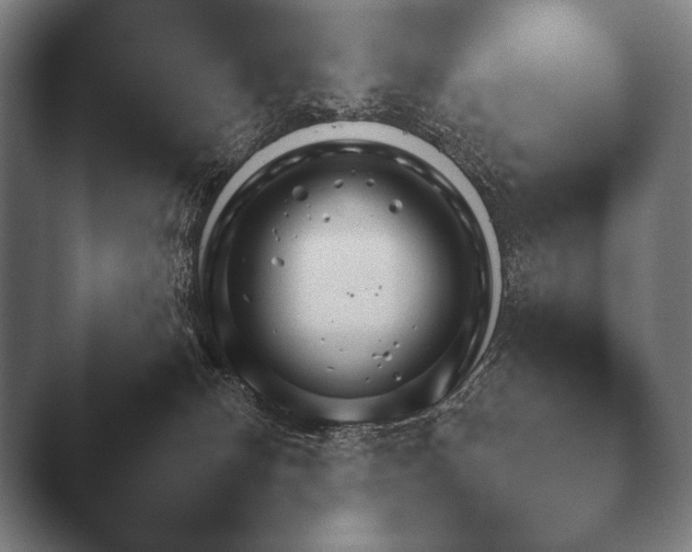 X0000044400132200412290441.png