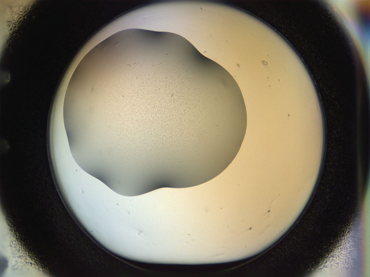 056o_E7_ImagerDefaults_2.jpg